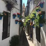 Lägenhet Conde De Vallellano