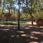 Conde De Vallellano *