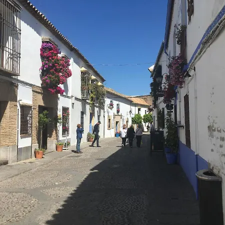 Apartamento Conde De Vallellano