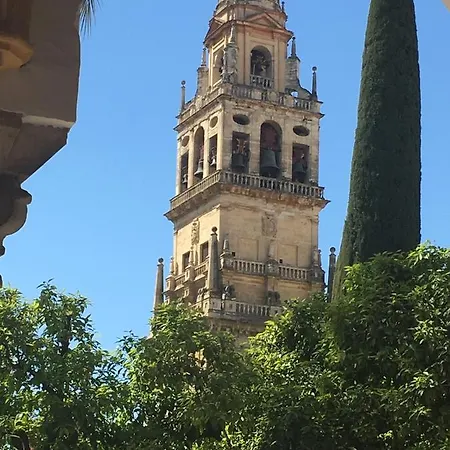 Conde De Vallellano Lägenhet Córdoba