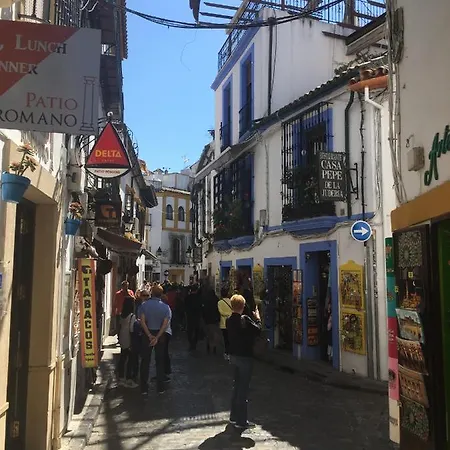 Lägenhet Conde De Vallellano *