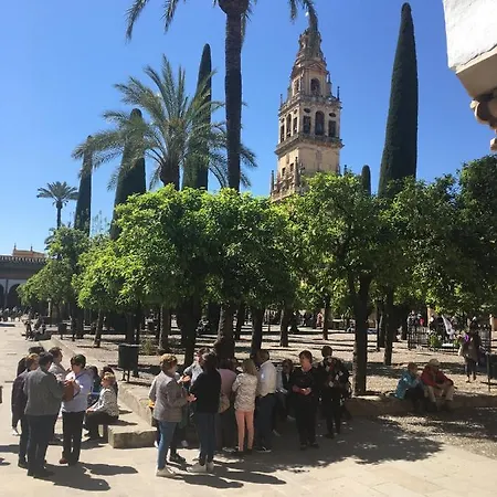 Lägenhet Conde De Vallellano Córdoba